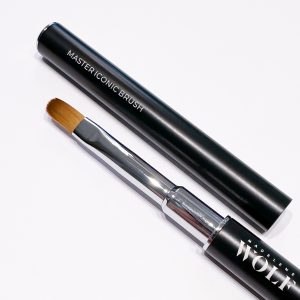 Master iconic brush